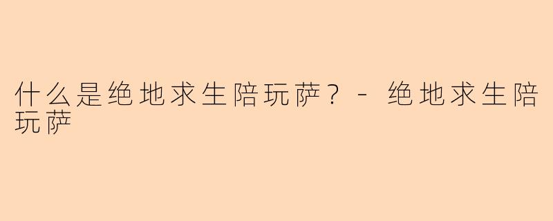 什么是绝地求生陪玩萨？-绝地求生陪玩萨