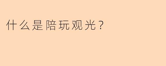 什么是陪玩观光？