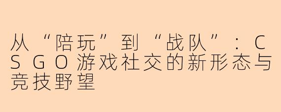 从“陪玩”到“战队”:CSGO游戏社交的新形态与竞技野望