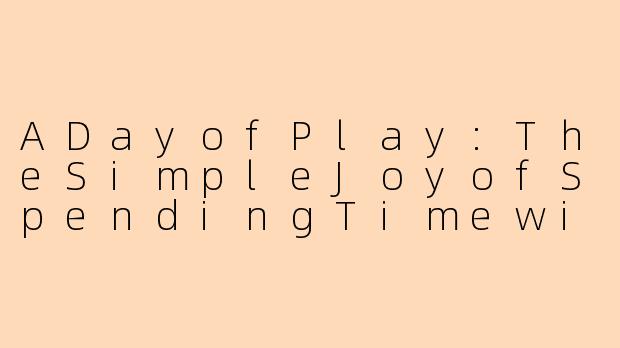 ADayofPlay:TheSimpleJoyofSpendingTimewithYourChild-陪孩子玩一天会开心吗英语