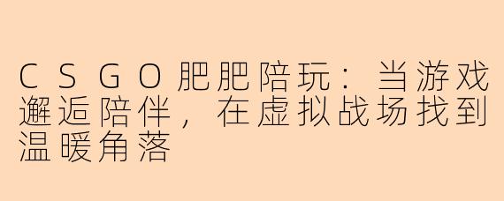 CSGO肥肥陪玩:当游戏邂逅陪伴,在虚拟战场找到温暖角落