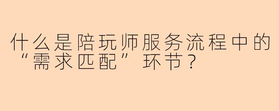 什么是陪玩师服务流程中的“需求匹配”环节？