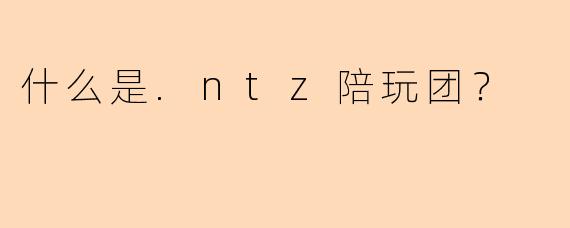 什么是.ntz陪玩团？