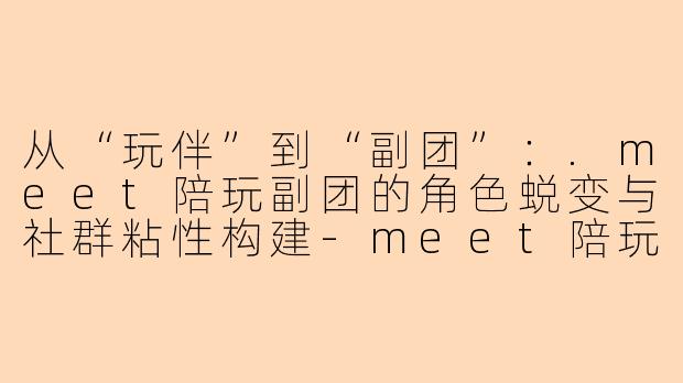 从“玩伴”到“副团”：.meet陪玩副团的角色蜕变与社群粘性构建-meet陪玩副团