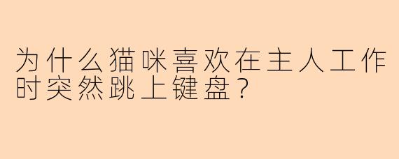 为什么猫咪喜欢在主人工作时突然跳上键盘？