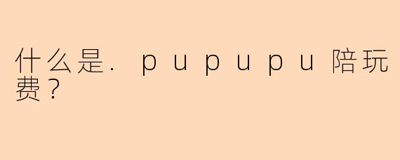 什么是.pupupu陪玩费？