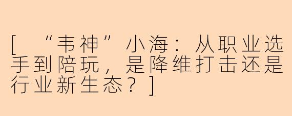 [“韦神”小海：从职业选手到陪玩，是降维打击还是行业新生态？]