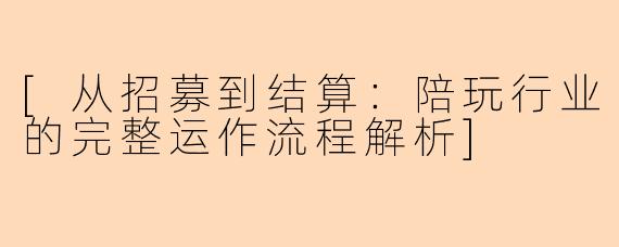 [从招募到结算：陪玩行业的完整运作流程解析]