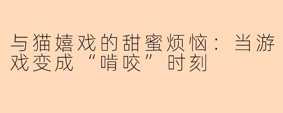 与猫嬉戏的甜蜜烦恼：当游戏变成“啃咬”时刻