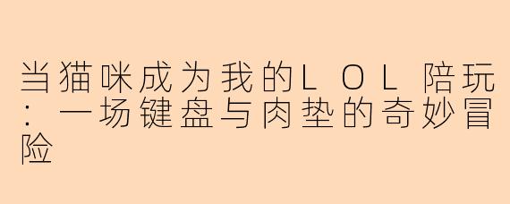 当猫咪成为我的LOL陪玩：一场键盘与肉垫的奇妙冒险