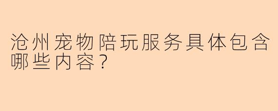 沧州宠物陪玩服务具体包含哪些内容？