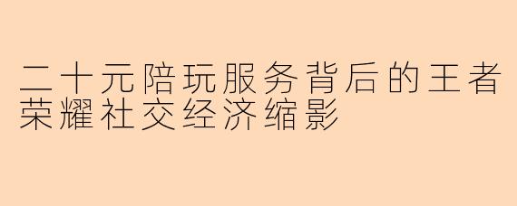 二十元陪玩服务背后的王者荣耀社交经济缩影
