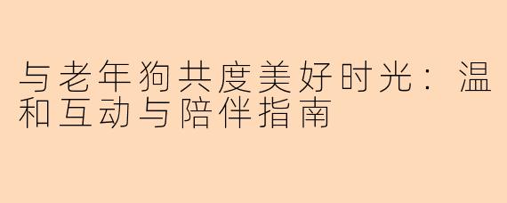 与老年狗共度美好时光：温和互动与陪伴指南