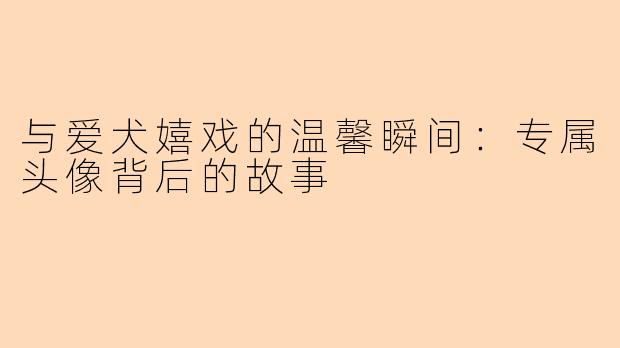 与爱犬嬉戏的温馨瞬间：专属头像背后的故事