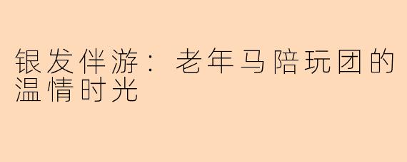 银发伴游:老年马陪玩团的温情时光