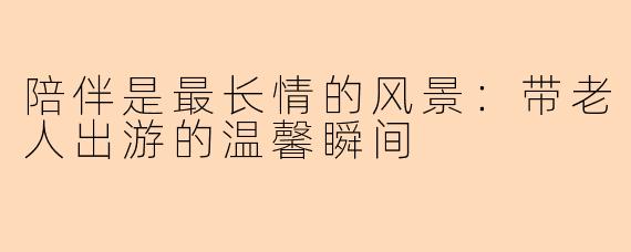 陪伴是最长情的风景：带老人出游的温馨瞬间