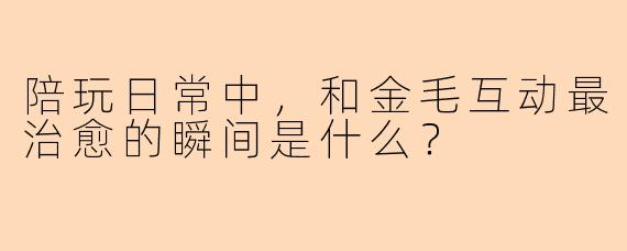 陪玩日常中，和金毛互动最治愈的瞬间是什么？
