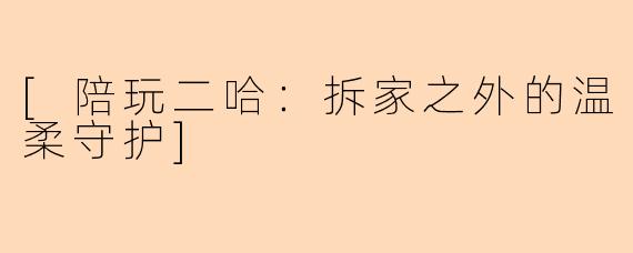 [陪玩二哈：拆家之外的温柔守护]