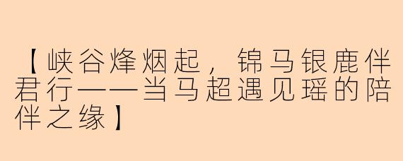 【峡谷烽烟起，锦马银鹿伴君行——当马超遇见瑶的陪伴之缘】