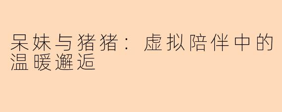 呆妹与猪猪：虚拟陪伴中的温暖邂逅