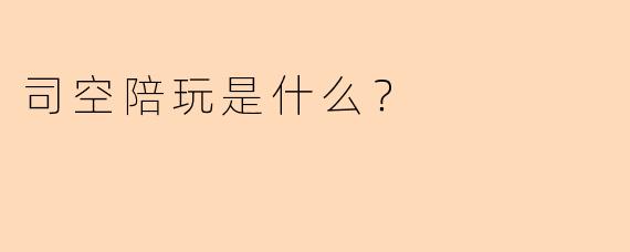 司空陪玩是什么？