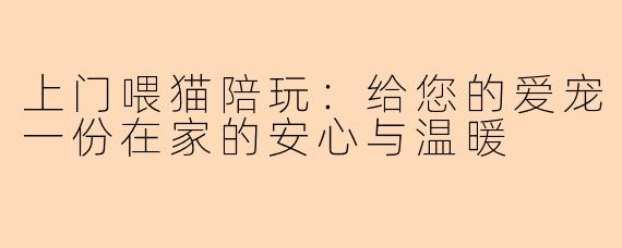 上门喂猫陪玩：给您的爱宠一份在家的安心与温暖
