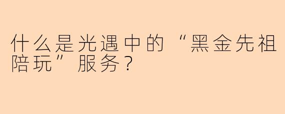 什么是光遇中的“黑金先祖陪玩”服务？