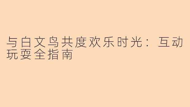 与白文鸟共度欢乐时光：互动玩耍全指南