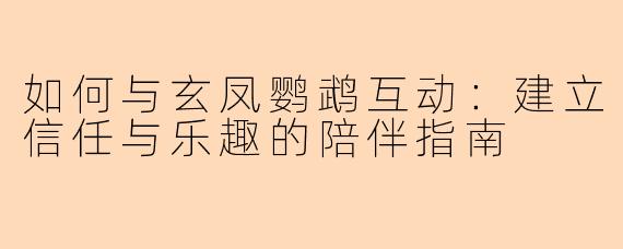 如何与玄凤鹦鹉互动:建立信任与乐趣的陪伴指南