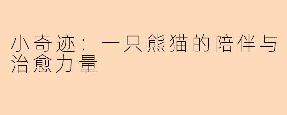 小奇迹：一只熊猫的陪伴与治愈力量