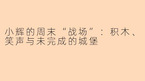 小辉的周末“战场”:积木、笑声与未完成的城堡