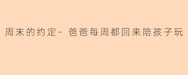 周末的约定-爸爸每周都回来陪孩子玩