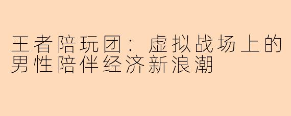 王者陪玩团:虚拟战场上的男性陪伴经济新浪潮