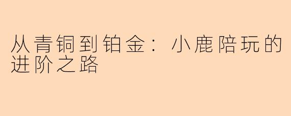 从青铜到铂金：小鹿陪玩的进阶之路