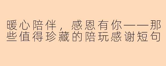 暖心陪伴，感恩有你——那些值得珍藏的陪玩感谢短句