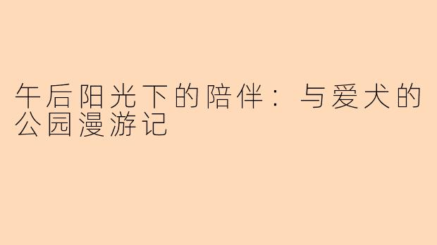 午后阳光下的陪伴:与爱犬的公园漫游记