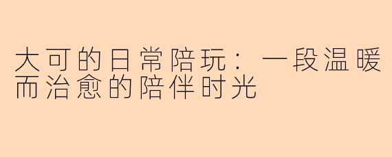 大可的日常陪玩：一段温暖而治愈的陪伴时光