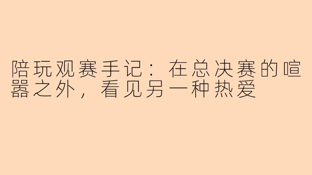 陪玩观赛手记：在总决赛的喧嚣之外，看见另一种热爱