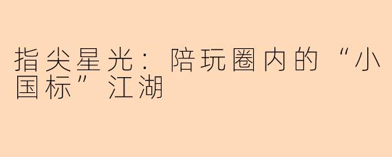 指尖星光：陪玩圈内的“小国标”江湖