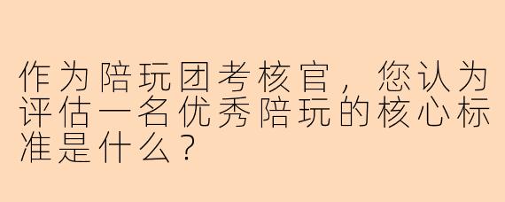 作为陪玩团考核官，您认为评估一名优秀陪玩的核心标准是什么？