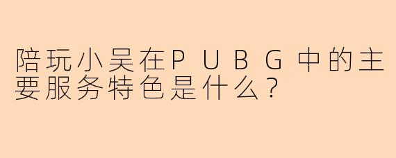 陪玩小吴在PUBG中的主要服务特色是什么？