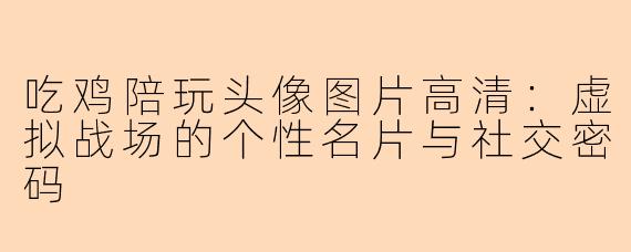 吃鸡陪玩头像图片高清：虚拟战场的个性名片与社交密码