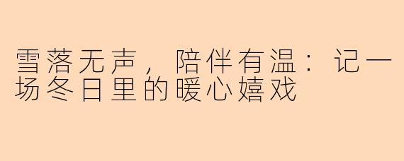 雪落无声，陪伴有温：记一场冬日里的暖心嬉戏