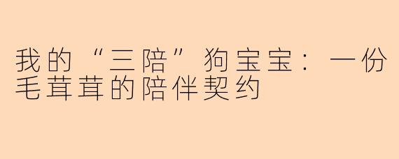 我的“三陪”狗宝宝：一份毛茸茸的陪伴契约