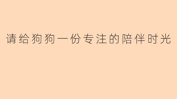请给狗狗一份专注的陪伴时光