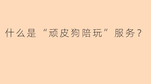 什么是“顽皮狗陪玩”服务？