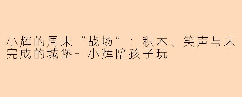小辉的周末“战场”：积木、笑声与未完成的城堡