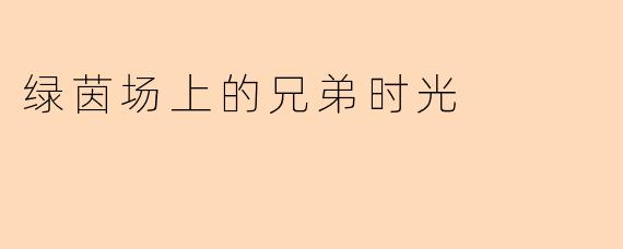 绿茵场上的兄弟时光