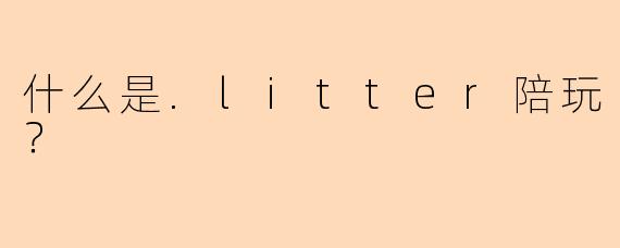 什么是.litter陪玩？