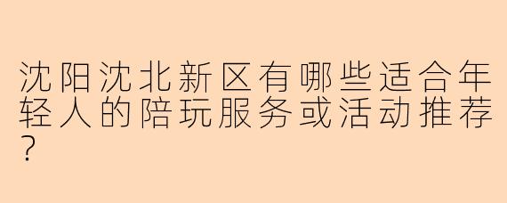 沈阳沈北新区有哪些适合年轻人的陪玩服务或活动推荐？